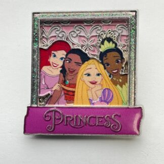 Disney Moana Ariel Rapunzel Tiana Princess Group 3D Photo Pin G3