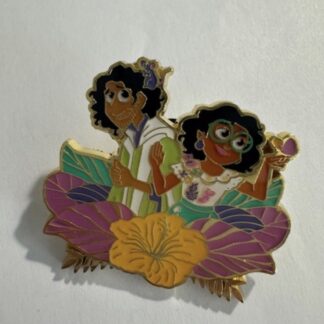 Loungefly Bruno And Mirable Encanto Box Lunch Disney Pin A5