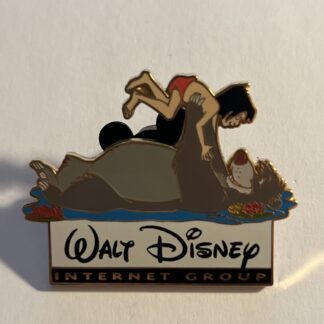 Walt Disney Internet Group - Cast Member - 2007 Summer Familiy Picnic Pin C2