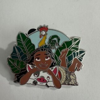 Disney Pin Moana Hei Hei Pua One Family Our Best Friends are Family Too Pin (E1)