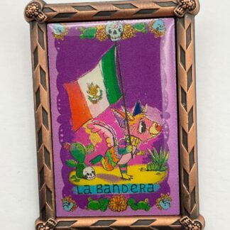 Disney Parks Disneyland 2018 Pixar COCO La Bandera "Flag" Mystery LR Pin G5