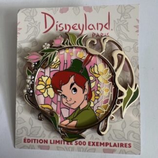 Disneyland Paris Symphony Of Color LE 500 Peter Pan Pin Rare DLP (B)