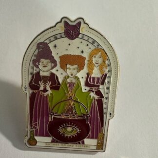 Hocus Pocus Sanderson Sisters Winnie Sarah Mary Frame Disney Pin F8