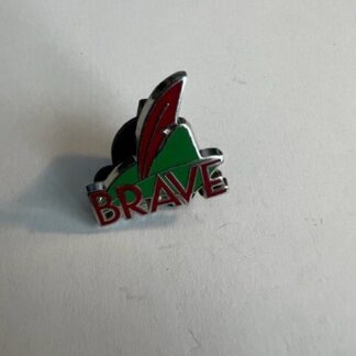 Peter Pan Hat Brave Heroes Vs Villains How To Be A Hero LE 750 Disney Pin (C1)