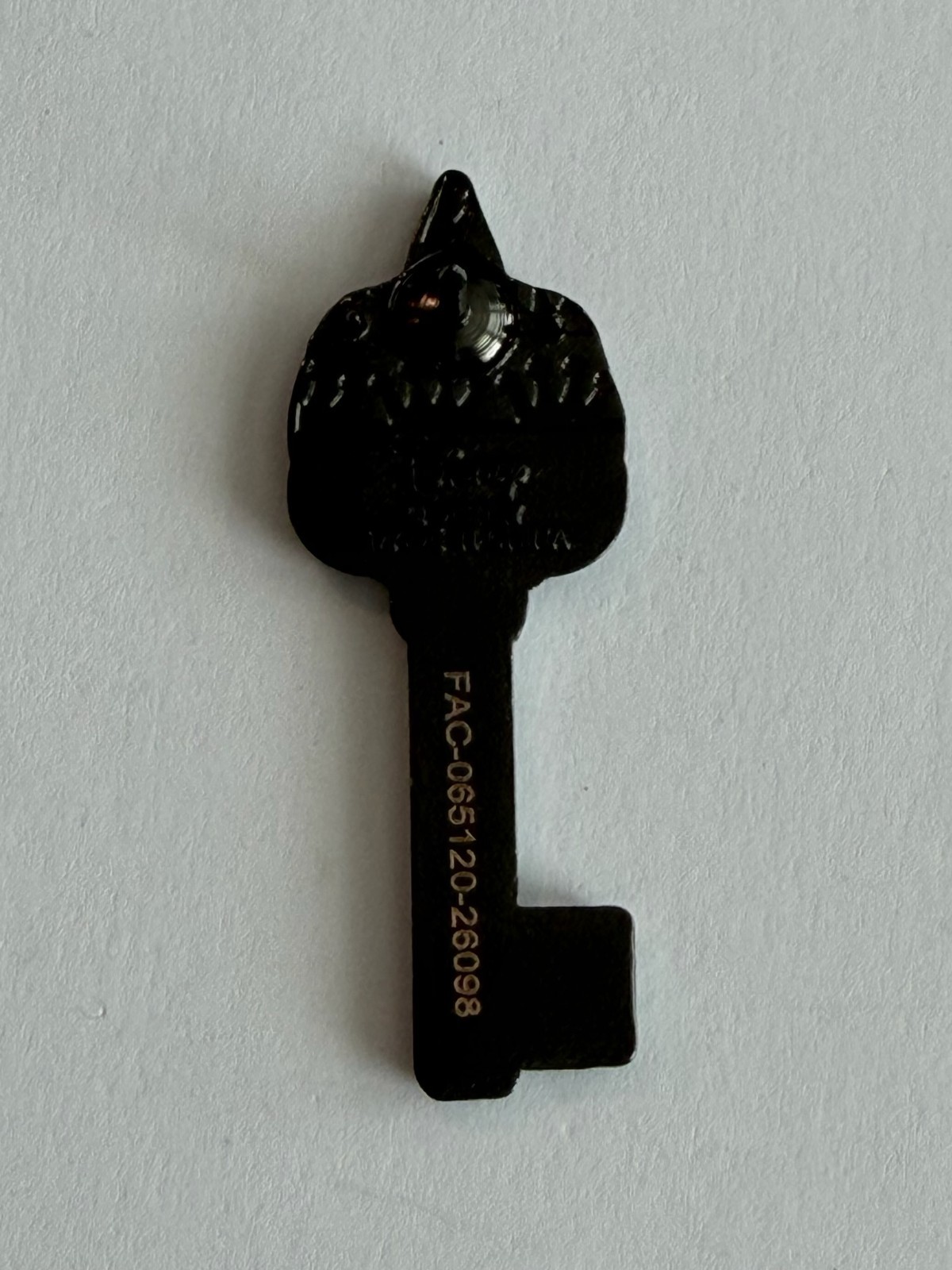 Loungefly Key Rapunzel Princess Key ONLY Mystery 2025 Disney Pin H6 - Image 2