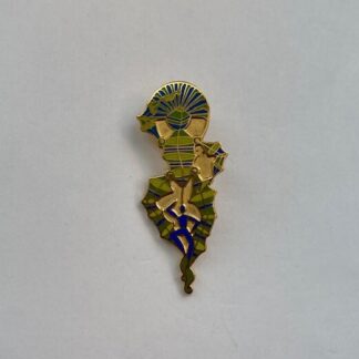 WDW Tapestry Of Bathing Millennium Celebration Diskman Disney Pin B2