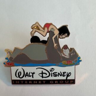 Walt Disney Internet Group - Cast Member - 2007 Summer Familiy Picnic Pin (D6)