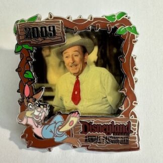 DLR Walt Disney Brer Rabbit Splash Mountain Annual Passholder 2009 Disney Pin F2