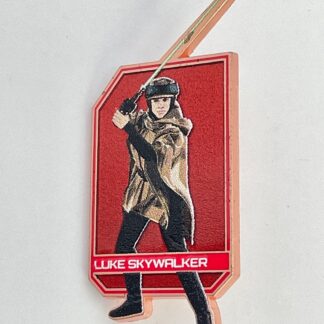 2023 Disney Parks Star Wars Endor Mystery Pin Luke Skywalker A7
