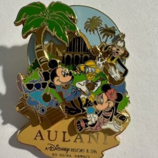 Disney Aulani Pin DVC Mickey Minnie Goofy Donald Stitch Pin (B3)