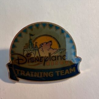 Disney Disneyland Disney's California Adventure Training Team Cast Pin 2001 (D5)