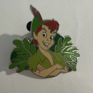 Peter Pan Arms Folded Neverland 145780 Disney Pin (F0)